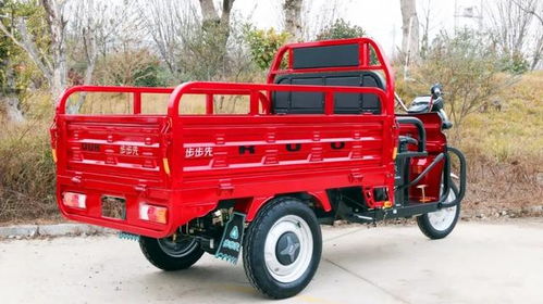 宗申戰(zhàn)虎 金彭祥龍 淮海力霸這些家用電動三輪車,你更看好誰