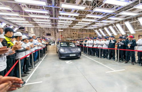 電動防爆車見證浪漫 首批國產特斯拉Model 3交付現場車主求婚